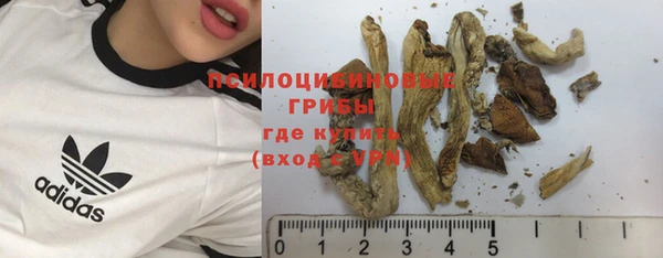 скорость Алексин