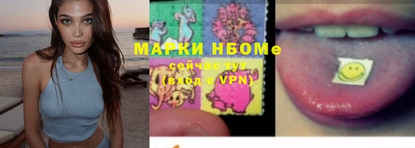 PSILOCYBIN Алзамай