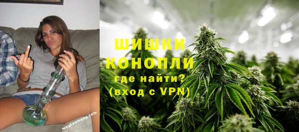 PSILOCYBIN Алзамай