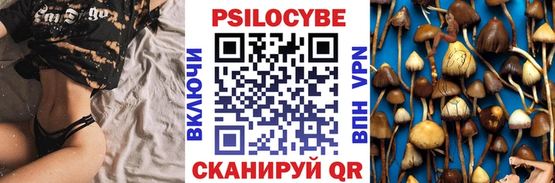 darknet формула Юрьев-Польский Псилоцибиновые грибы прущие грибы где купить наркоту